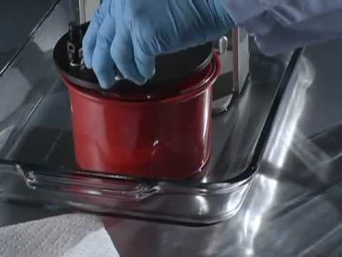 Video 16db5b7c-957b-4468-91a9-56373bea641d