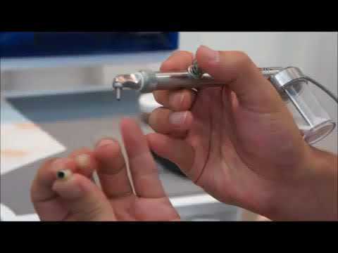 Video 1e628315-97dd-46ac-9035-799a05db845e