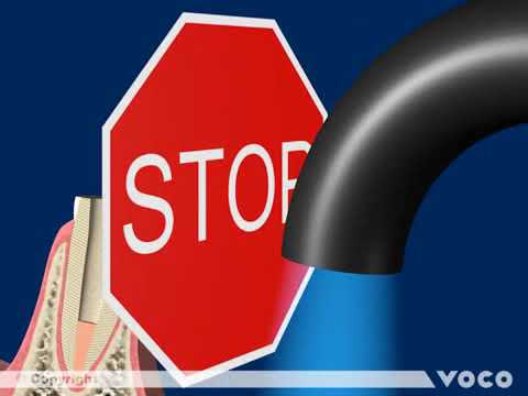 Video f63f8f9c-b788-4bf9-9da5-cdb147440040