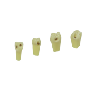dientes-esmalte-dentina-imagen-2